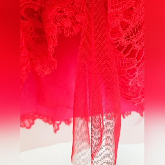 Monique Lhuillier Red Lace Sleeveless A Line Dress - Picture 10 of 16